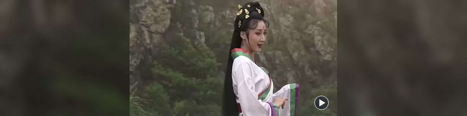 一网在手，法海无忧视频封面